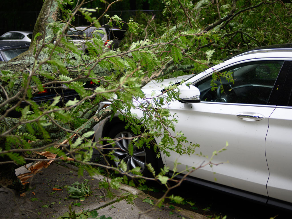 Automobile Physical Damage Coverage